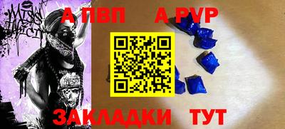 стафф Кингисепп