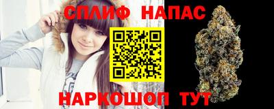 эйфоретик Камышлов