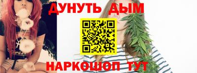 стафф Кингисепп