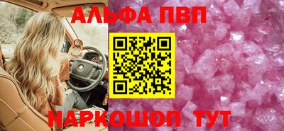 стафф Кингисепп