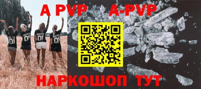 стафф Кингисепп