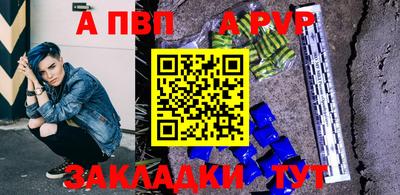 стафф Кингисепп