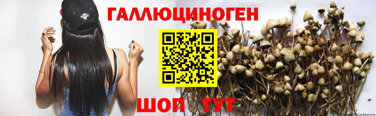 Псилоцибиновые грибы ЛСД Кумертау